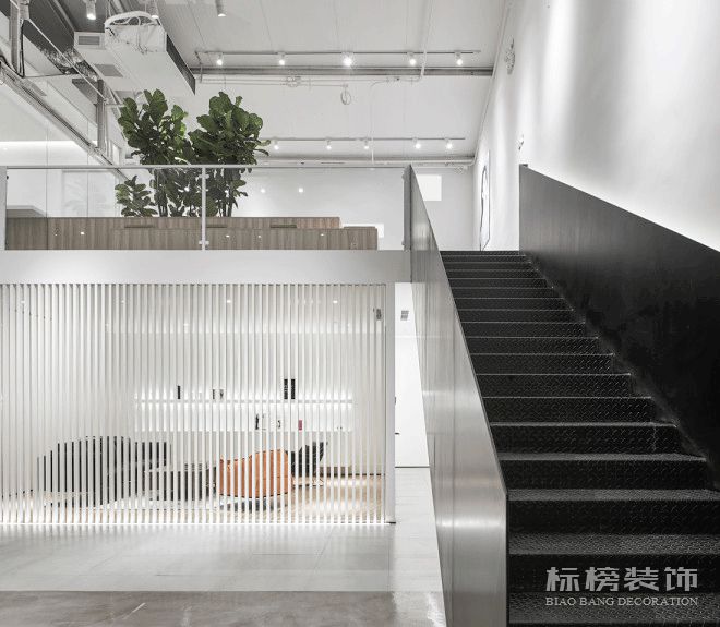 辦公室植物擺放植物有哪些，怎么擺放比較好？